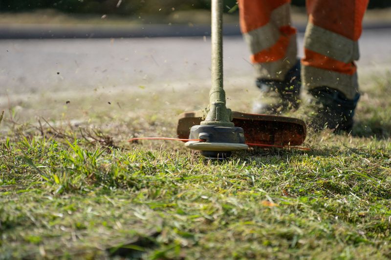 Grass edging tool creating a crisp lawn border
